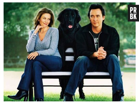 "Procura-se um Amor que Goste de Cachorros"