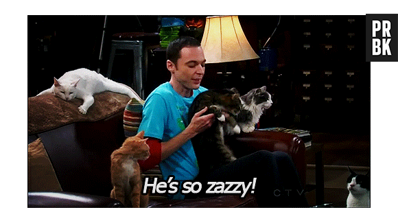 Sheldon, "The Big Bang Theory"