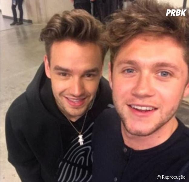 Niall Horan e Liam Payne superam sucesso de One Direcion nas rádios americanas!