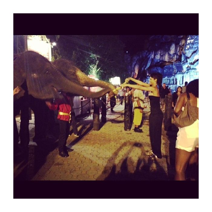 De férias na Tailândia, Rihanna também deu comida na tromba dos elefantes. Lembrando que: elefante pode!
