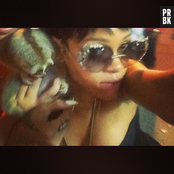 Rihanna posta foto com primata protegido pelas leis tailandesas e denuncia, sem querer, dois homens que mantinham o animal em cativeiro