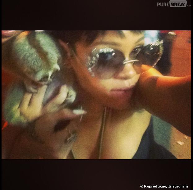 Rihanna posta foto com primata protegido pelas leis tailandesas e denuncia, sem querer, dois homens que mantinham o animal em cativeiro