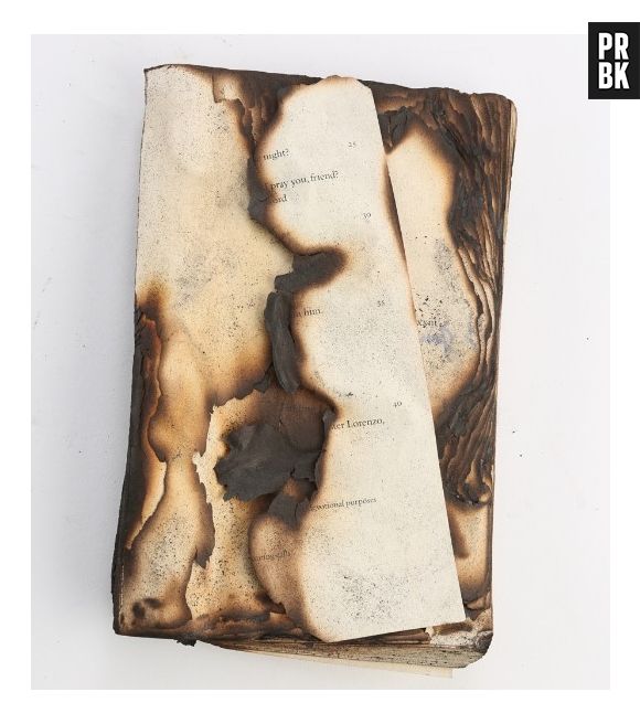 Livro queimado por Bella (Kristen Stewart) à venda no leilão!