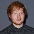  Ed Sheeran comenta situa&ccedil;&atilde;o com Miley Cyrus no VMA 2014 
