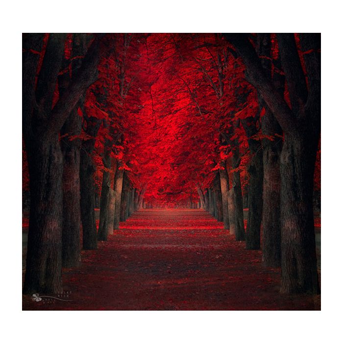 Um belo túnel de Bordos Vermelhos