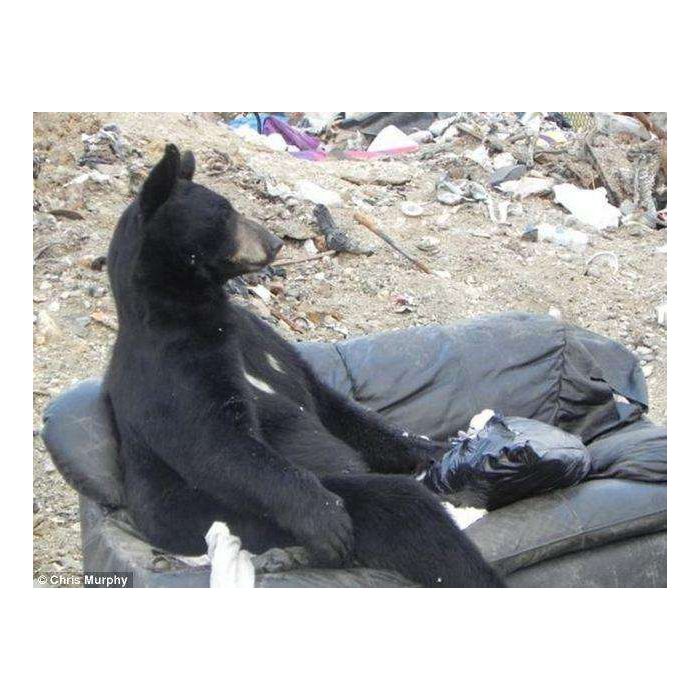 Senta aqui do meu ladinho pra eu te dar um abraço de urso :3