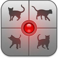 Existe um aplicativo que permite conversar com gatos e isso era tudo que a gente queria!