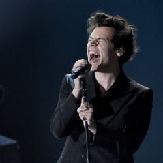 Preparamos uma lista com as 25 maiores curiosidades sobre Harry Styles
