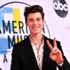 Shawn Mendes te levaria para um segundo encontro?