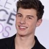 Date com Shawn Mendes? Escolha como passar um dia com o cantor e te diremos se rolaria um outro encontro