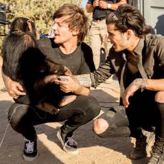 Novo clipe do One Direction ganha participação inusitada: Um chimpanzé!