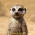 "O Rei Leão": internet fica animada com novo trailer