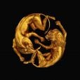  Confira "The Lion King: The Gift", novo álbum da Beyoncé para o live-action de "Rei Leão" 