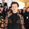 Harry Styles vai ser o príncipe Eric no live-action de "A Pequena Sereia", afirma site