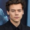 Harry Styles pode dar vida ao príncipe Eric no live-action de "A Pequena Sereia"