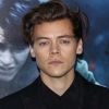 Site afirma que Harry Styles fará o príncipe Eric no live-action de "A Pequena Sereia"
