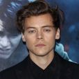 Site afirma que Harry Styles fará o príncipe Eric no live-action de "A Pequena Sereia"