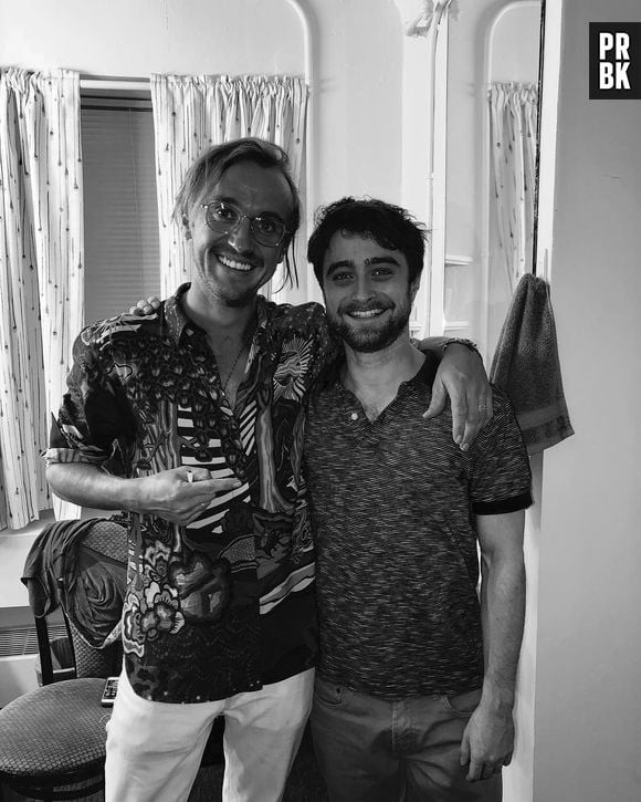 A verdade é que Tom Felton possui uma ótima relação com os colegas de "Harry Potter"