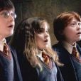 Sim, na época de "Harry Potter" a atriz Emma Watson foi apaixonada por Tom Felton