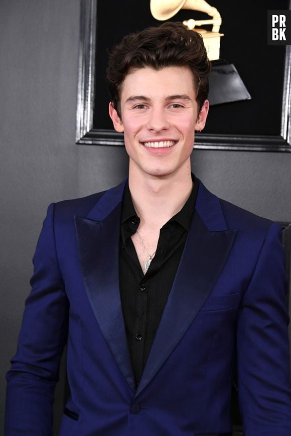 Shawn Mendes emocionou os fãs com anúncio de Fundação