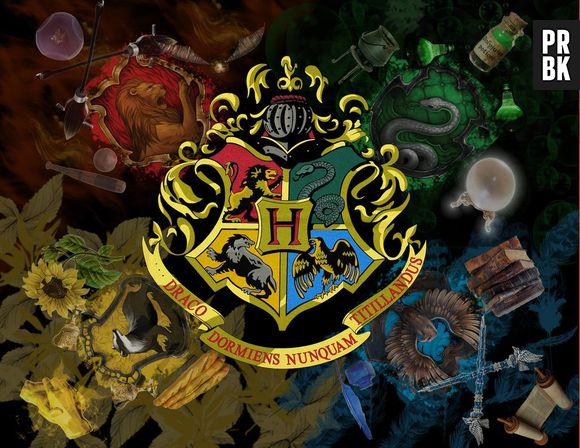 "Harry Potter": responda estas 15 perguntas e descubra quanto conhecimento você tem sobre as Casas de Hogwarts