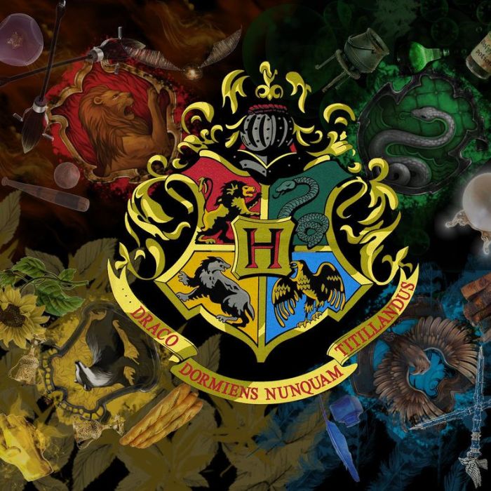 &quot;Harry Potter&quot;: responda estas 15 perguntas e descubra quanto conhecimento você tem sobre as Casas de Hogwarts