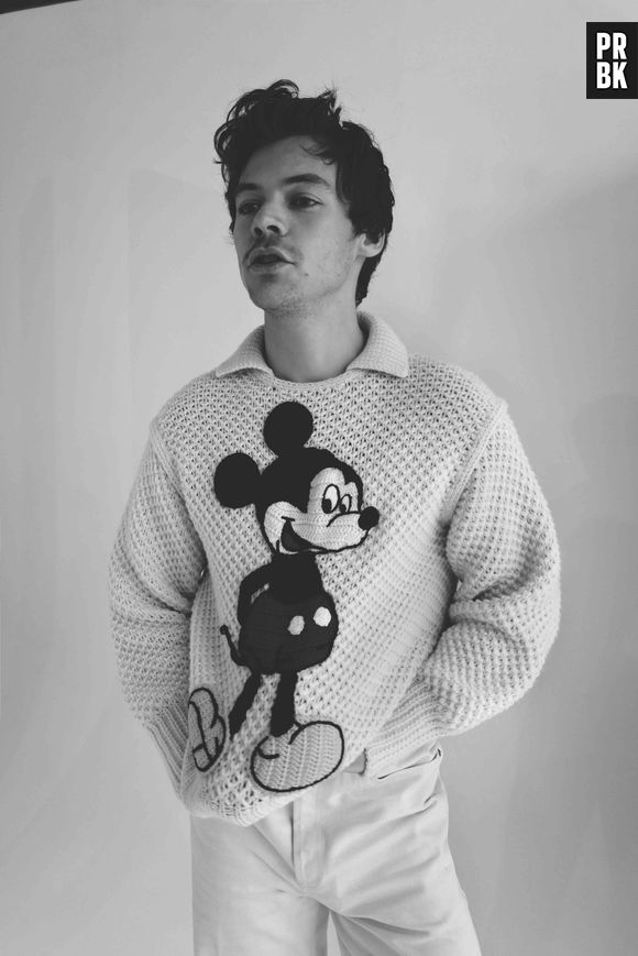 Harry Styles acha que as pessoas não estão buscando mais por uma diferenciação de gênero