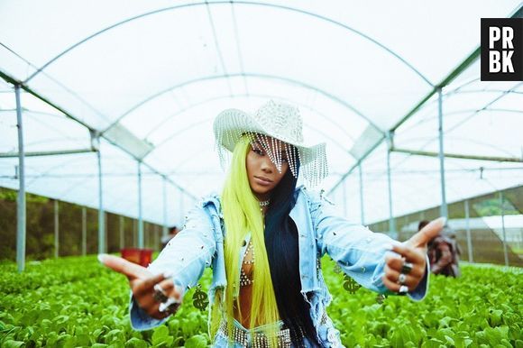 Ludmilla está sendo processada por "Verdinha": por que isso só acontece quando o artista é negro?