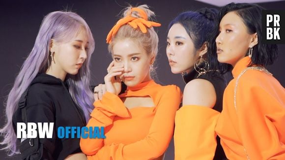 Vem conhecer 30 curiosidades sobre o MAMAMOO