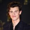 Shawn Menden revela como a sua ansiedade quase atrapalhou seu relacionamento com Camila Cabello