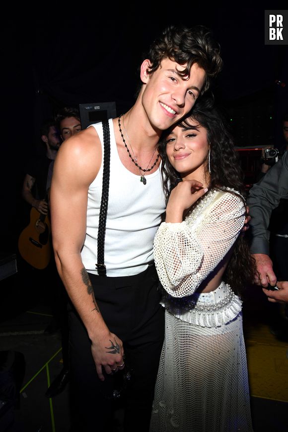 Shawn Mendes diz que sua ansiedade quase atrapalhou o namoro com Camila Cabello