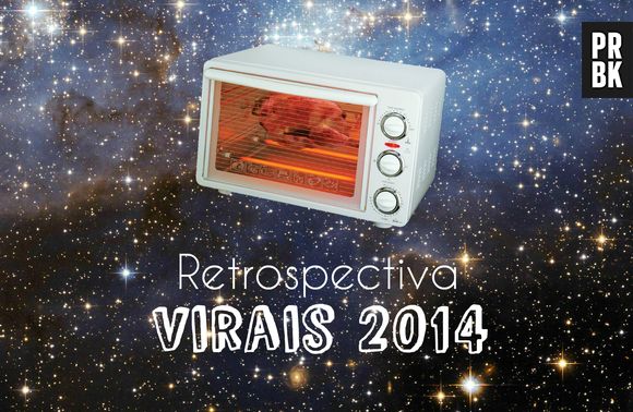 Relembrar é viver: Os melhores vídeos virais de 2014