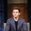 Tom Holland não descarta a possibilidade de continuar atuando pela MCU