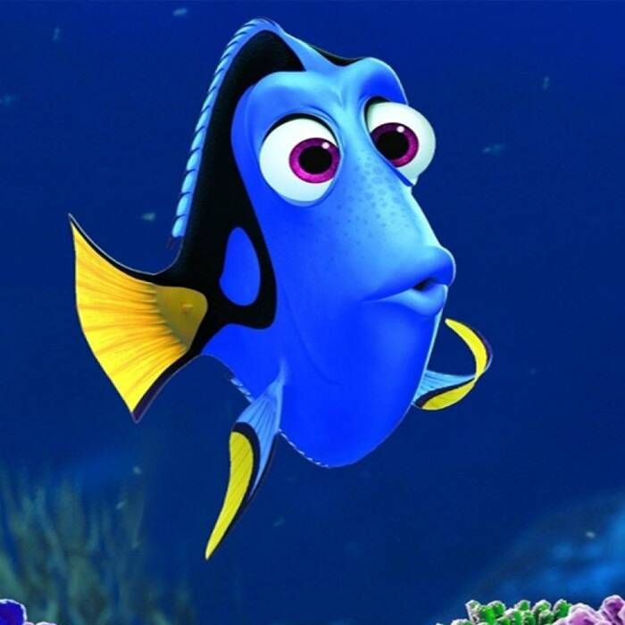 Disney quase lançou uma continuação diferente para &quot;Procurando Nemo&quot;