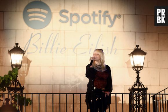 Billie Eilish tem dois álbuns de estúdio lançados até o momento, "When We All Fall Asleep, Where Do We Go?" e o recente "Happier Than Ever"