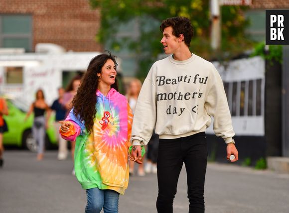 Shawn Mendes e Camila Cabello estavam juntos há mais de dois anos
