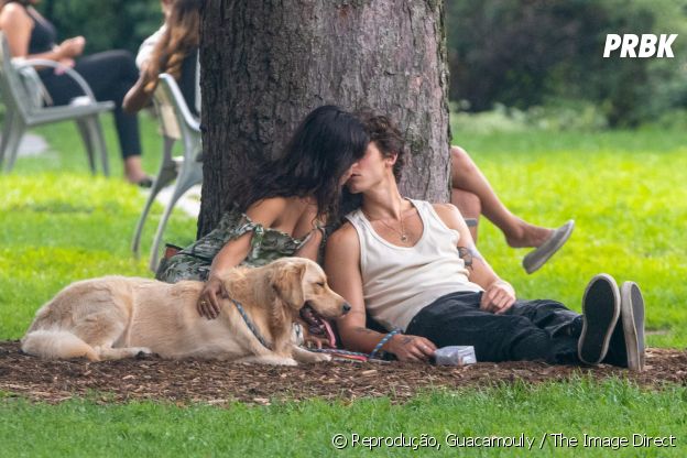 Shawn Mendes e Camila Cabello em passeio com cachorro, Tarzan