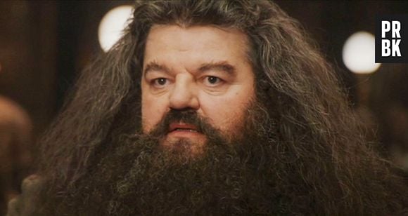 "Harry Potter": qual você acha que seria o signo de Hagrid?