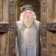 "Harry Potter" coleciona personagens icônicos, como Dumbledore