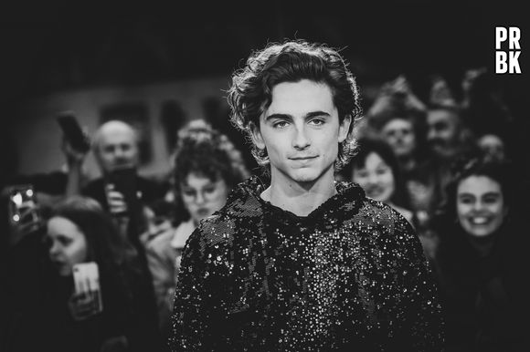 Timothée Chalamet completa 26 anos nesta segunda-feira (27)