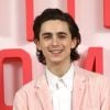 Timothée Chalamet já estrelou longas como "Mulherzinhas" e "Lady Bird"