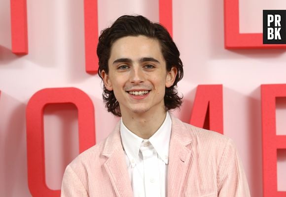 Timothée Chalamet já estrelou longas como "Mulherzinhas" e "Lady Bird"