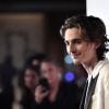 Timothée Chalamet e Saoirse Ronan já atuaram juntos em "Lady Bird" e "Mulherzinhas"