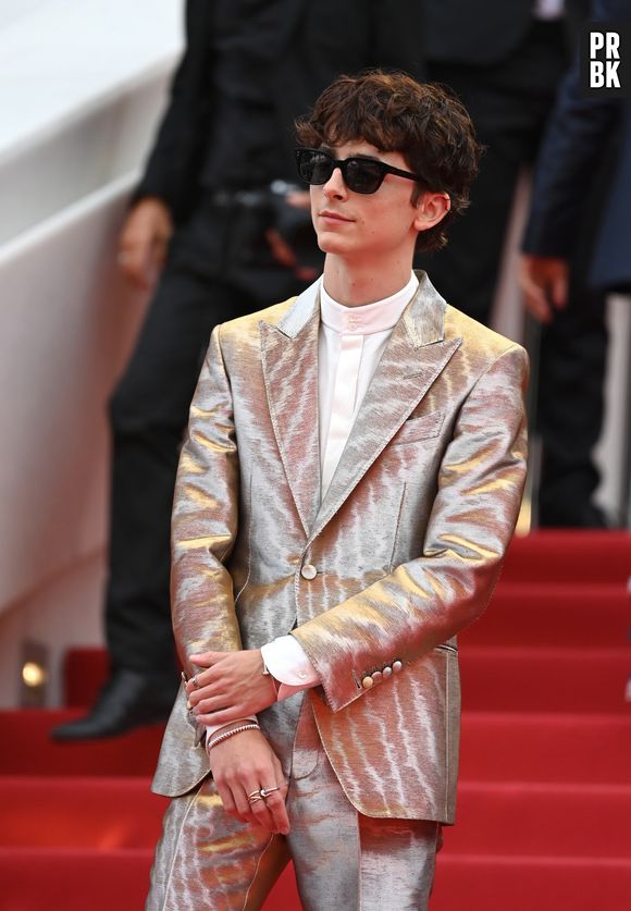 Timothée Chalamet prova que tem estilo com seus looks no tapete vermelho