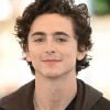 Timothée Chalamet fica bem com cabelo longo ou mais curto