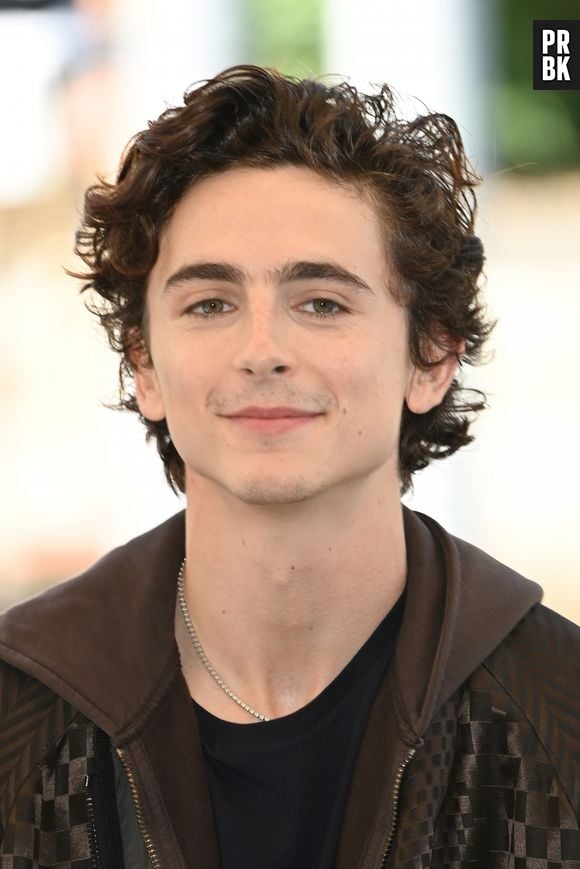 Timothée Chalamet fica bem com cabelo longo ou mais curto