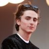 Timothée Chalamet vai estrelar grandes filmes nos próximos anos