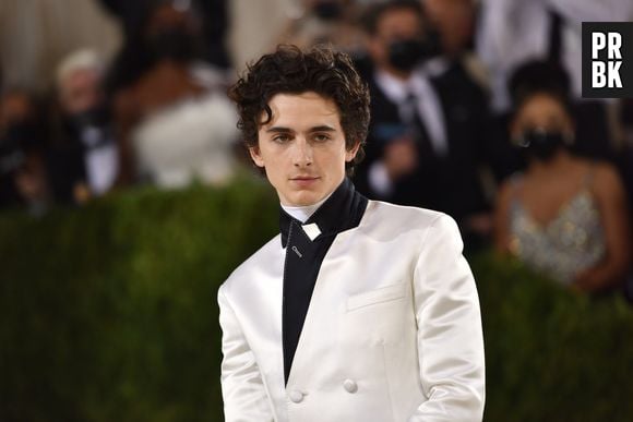 Timothée Chalamet foi uma das atrações do Met Gala 2021