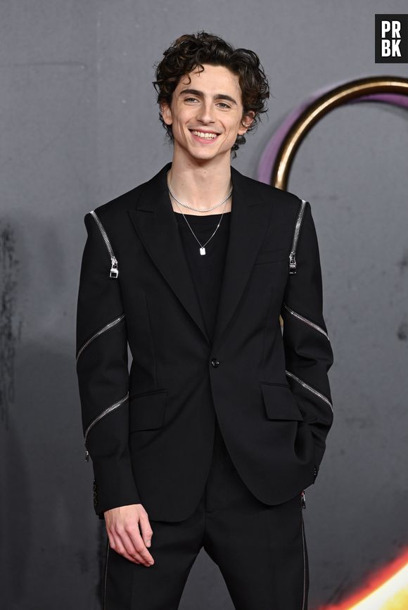 Timothée Chalamet: eventos de "Duna" renderam ótimos looks do ator