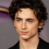 O maxilar de Timothée Chalamet é traço marcante do ator